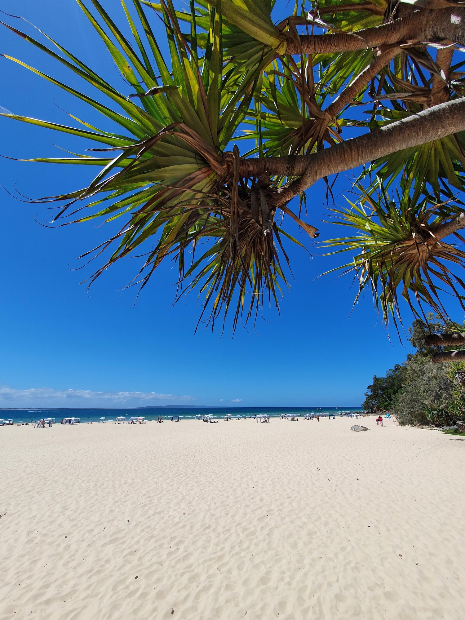 Noosa Qld -1